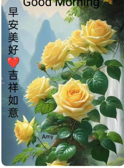 38CA2EE3-D19A-48C7-91D1-6562451CC5B9-29151-000003A80678B293