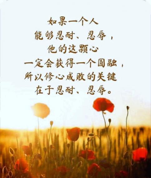 495655936