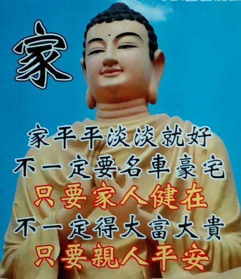 53854
