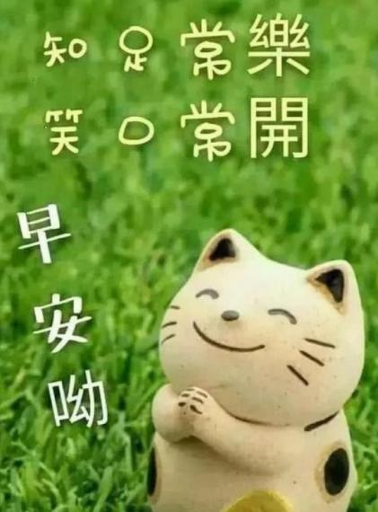 6401
