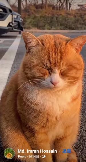 7511