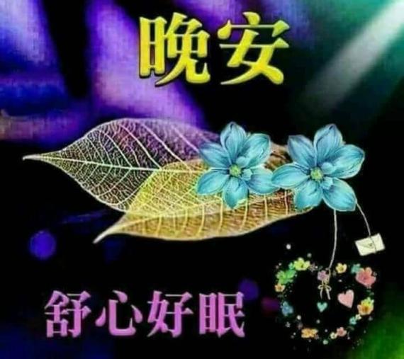 8153