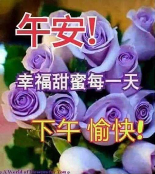 9059