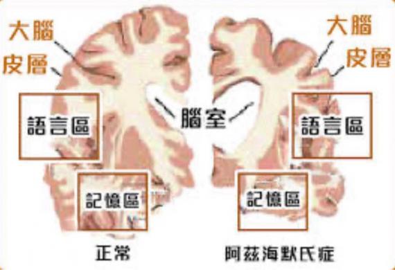 C32F12FE-1286-4528-BA6B-6812F44DF181-4683-0000005EBDB5B009
