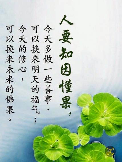 image%3A1000024392_0
