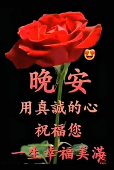 image%3A1000036712