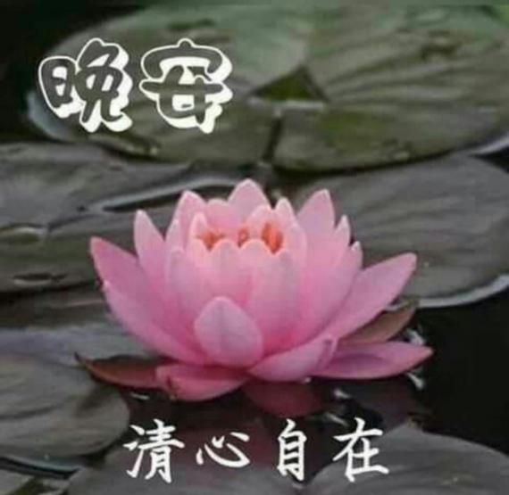image%3A1000039796