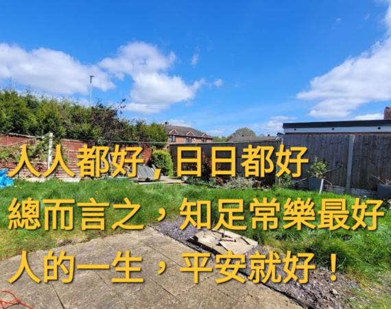 image%3A1000048885