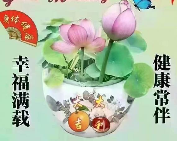 image%3A1000056115