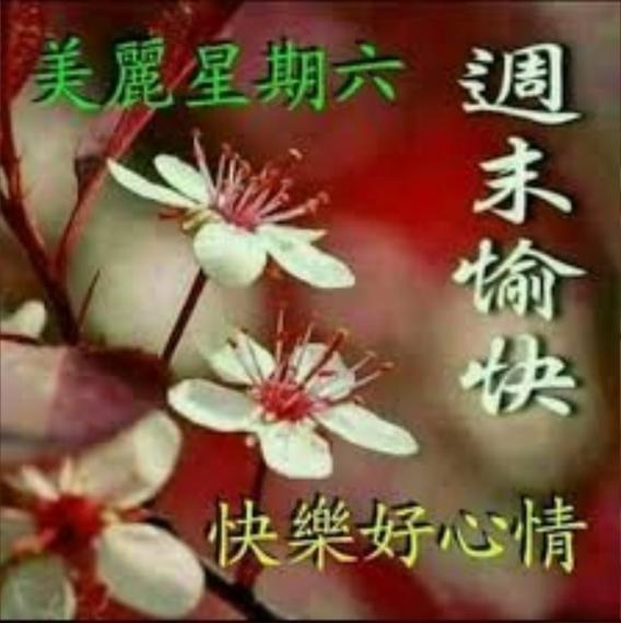 image%3A1000151980