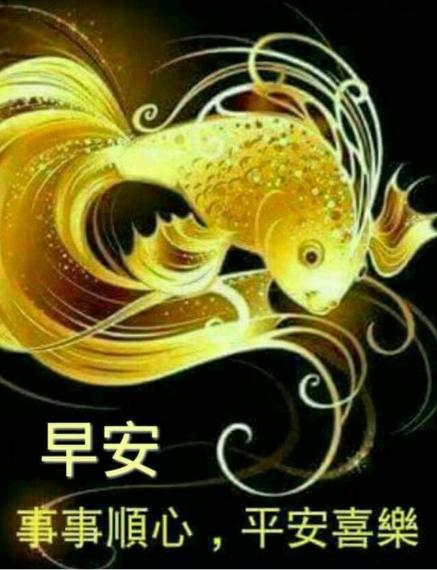 image%3A1263