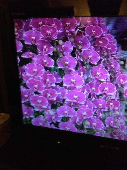 image%3A170764