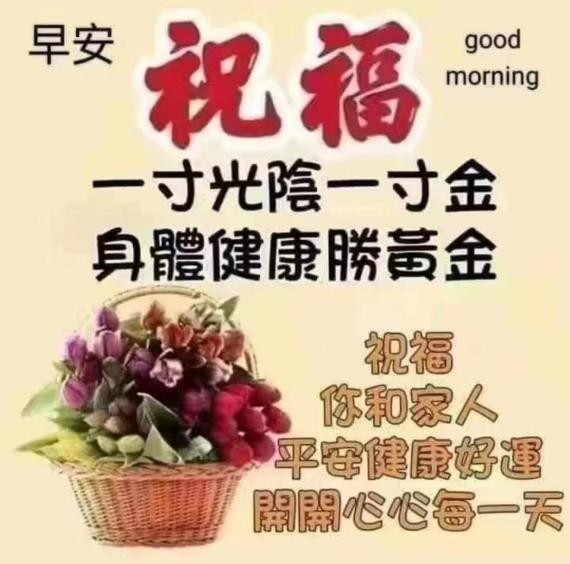 image%3A197236