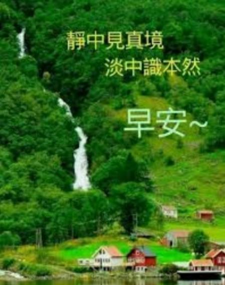 image%3A2528