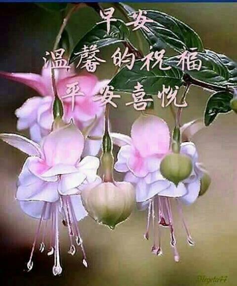 image%3A28992