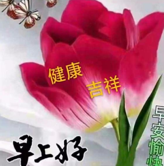 image%3A29746