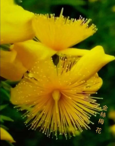 image%3A52846