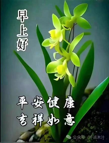 image%3A64807