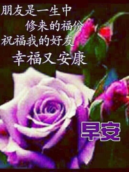 人生情誼,
見或不見 ~ 都想念!
連不連繫 ~ 都珍惜!
真正的朋友,
像天邊的星星,
不常想起,但知道 ~
你們 一直都在。
與您共勉之⋯... 人生情誼,
見或不見 ~ 都想念!
連不連繫 ~ 都珍惜!
真正的朋友,
像天邊的星星,
不常想起,但知道 ~
你們 一直都在。
與您共勉之⋯...