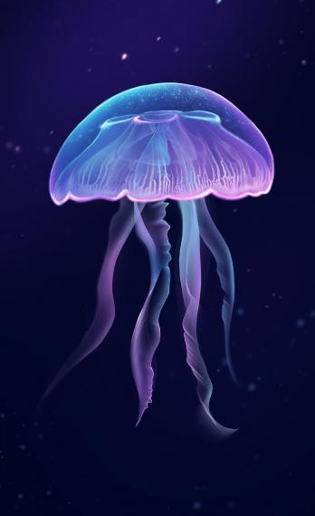光彩奪目的海中舞者─水母
人們對水母的認識,離不開稱牠們為「白鮓」、「會炸人」,或是被人類加工製成海蜇食用。... 光彩奪目的海中舞者─水母
人們對水母的認識,離不開稱牠們為「白鮓」、「會炸人」,或是被人類加工製成海蜇食用。...