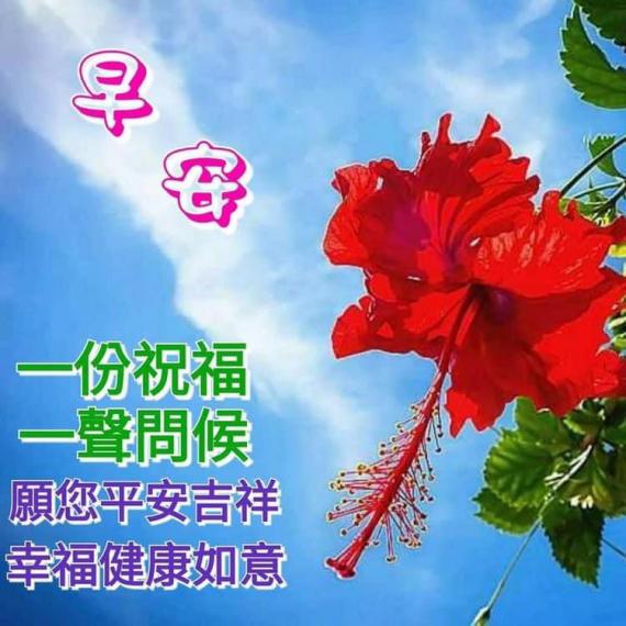 打風天氣不穩定，若出街要小心...