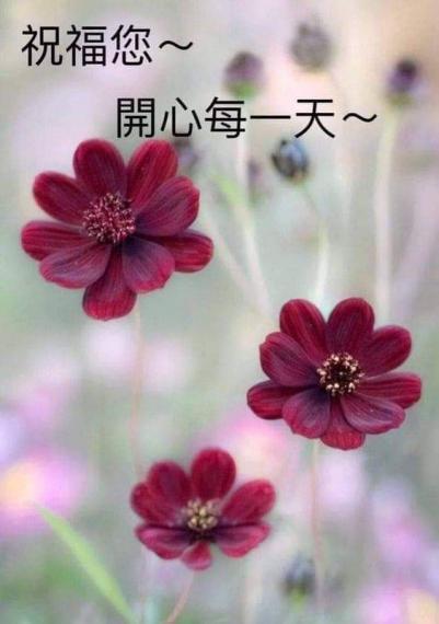 413FC913-A28B-4C3E-8582-532EEE971486
