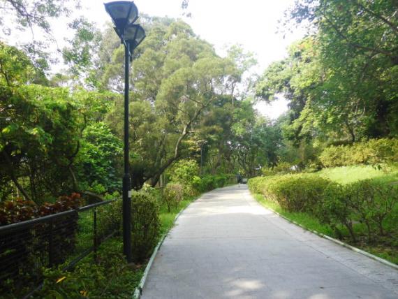往花圃公園,,遊吓景点！...