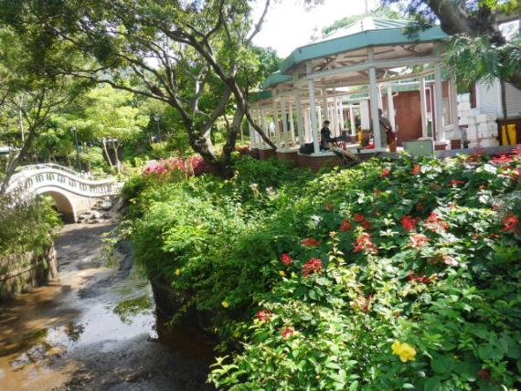 橋亭花園內,,賞花景！...