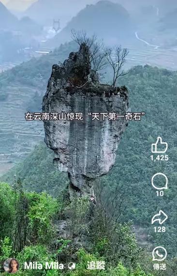在云南深山惊現天下第一奇石...