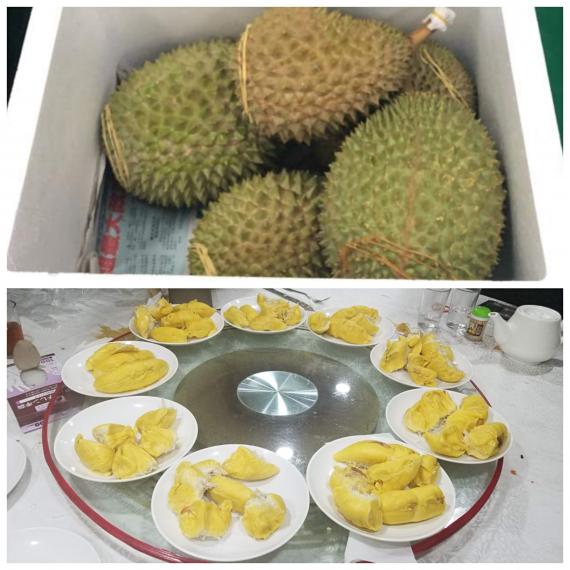 吃喝玩樂也要謹慎呀!
與眾好友相聚,並預先從馬來西亞訂了五個貓山皇榴槤回來,準備大快朵頤一番。
榴槤是果中之皇,營養價值很高,但不可與可樂同時進食,可致咖啡因中毒而引發心臟病。
它也是大熱之物,亦與烈... 吃喝玩樂也要謹慎呀!
與眾好友相聚,並預先從馬來西亞訂了五個貓山皇榴槤回來,準備大快朵頤一番。
榴槤是果中之皇,營養價值很高,但不可與可樂同時進食,可致咖啡因中毒而引發心臟病。
它也是大熱之物,亦與烈...