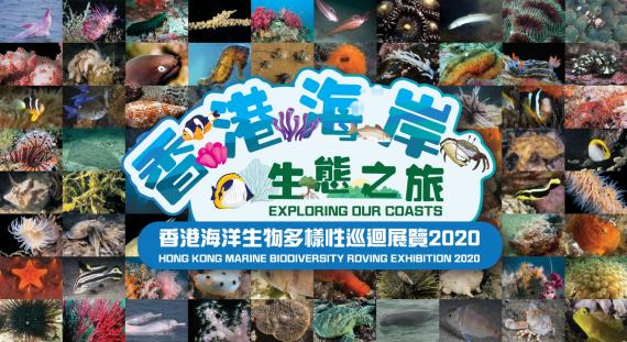 香港海洋生物多樣性巡迴展覽2020
