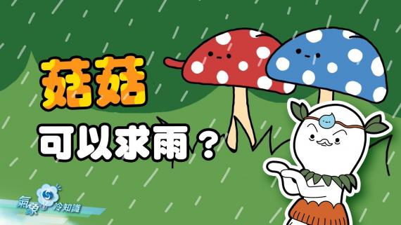 『氣象冷知識』：菇菇可以求雨？