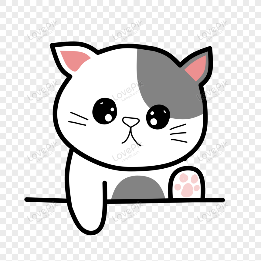 cat_with_php